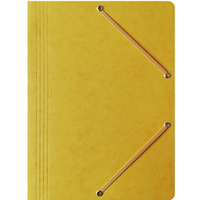 Teczka na dokumenty z gumk� A4 preszpanowa ��ta 400087822 BANTEX