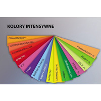 Papier ksero A4 210g TROPHEE s�oneczny 2210 250ark