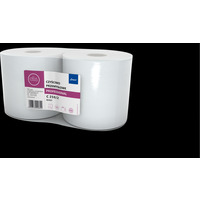 Czy�ciwo ELLIS PROFESIONAL 250/2 100% celuloza (op 2szt) 0802