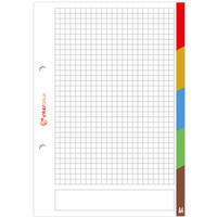 Wk�ad do segregatora A5 50k LUX kol.re INTERDRUK *7285