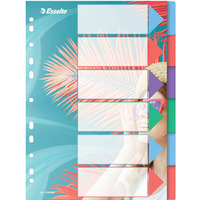 Przek�adki Colour`Breeze PP A4 6 przek�adek 628499 ESSELTE