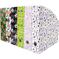 Pojemnik na czasopisma dokumenty Gazetownik 10cm wz�r Pi�ka NSE-02-22 BIURFOL