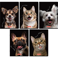 Zeszyt szkolny A5 80 kartek w kratk� 70g CRAZY ANIMAL 400196839 HERLITZ