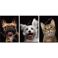 Zeszyt szkolny A4 60 kartek w kratk� 70g CRAZY ANIMAL 400196844 HERLITZ