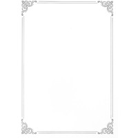 Dyplom A4 SILVER 190g. (20ark.) 210719 Galeria Papieru