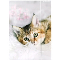 Teczka z gumk A4 KOTKI 559717 STARPAK