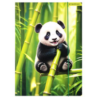 Teczka z gumk A4 WILD ANIMAL PANDA 559729 STARPAK