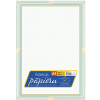 Dyplom certyfikat 170g (25 arkuszy) DZ254-2 MICHALCZYK I PROKOP