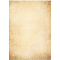 Barwne arkusze 100g/m2 FLORENCJA 234010 Galeria Papieru